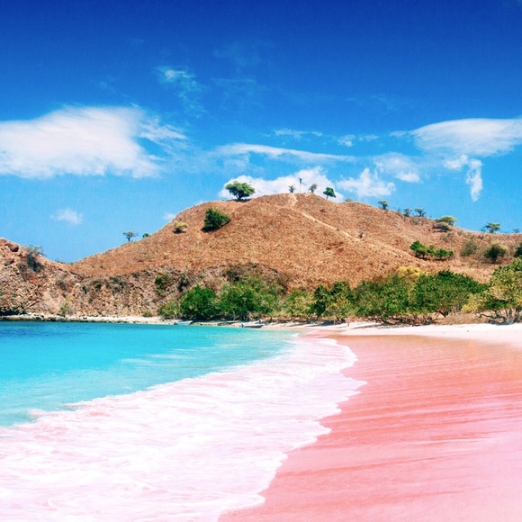 Meet your Posher, Courtney - Picture 1 of 1